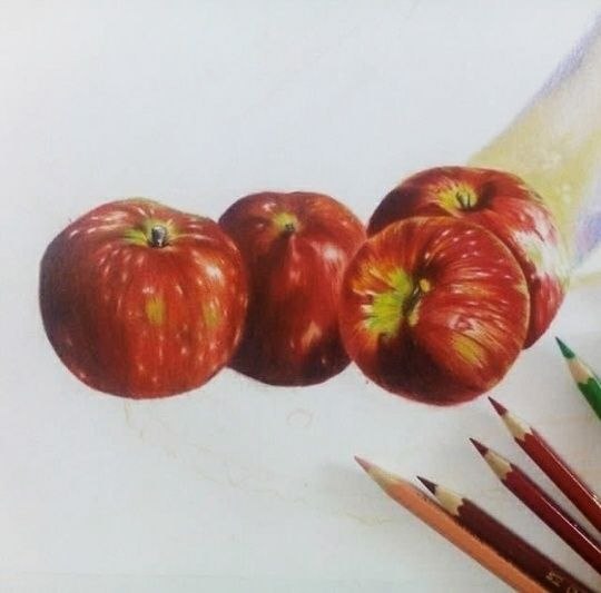 دنیای مداد رنگی آموزشگاه نقاشی در کرج